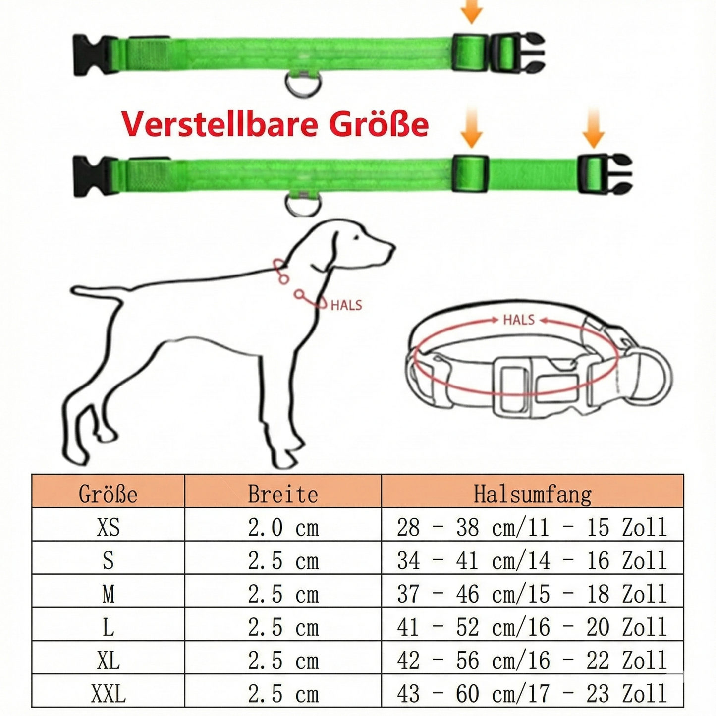 GlowDog – Weil Dunkelheit keine zweite Chance gibt!
