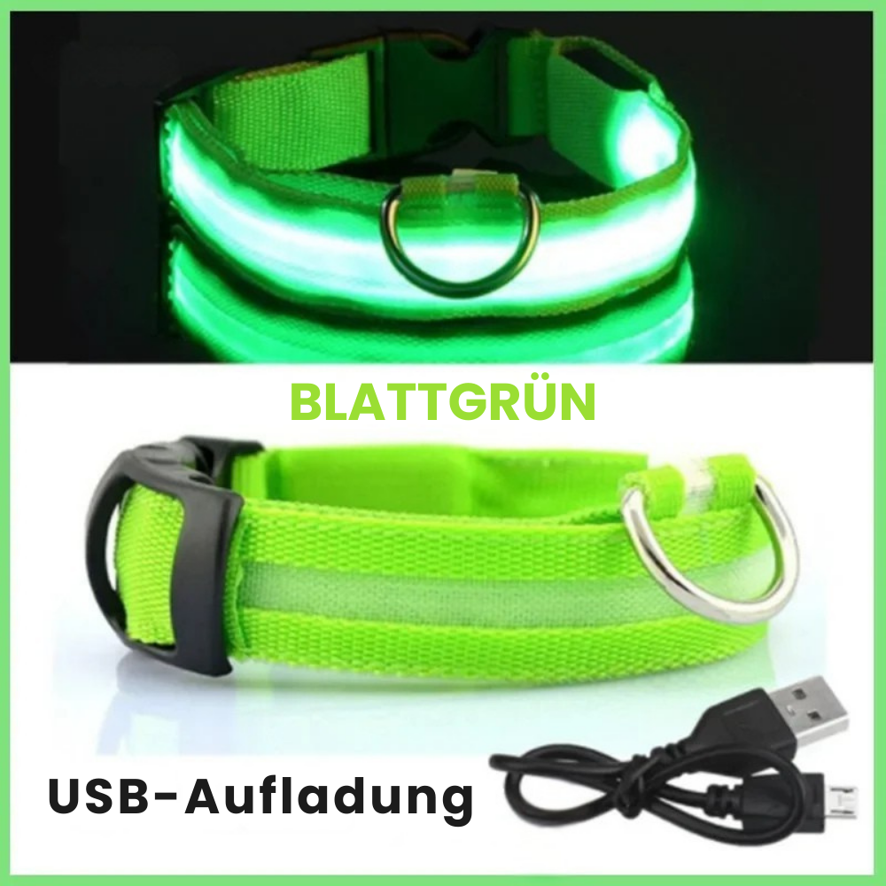 GlowDog – Weil Dunkelheit keine zweite Chance gibt!