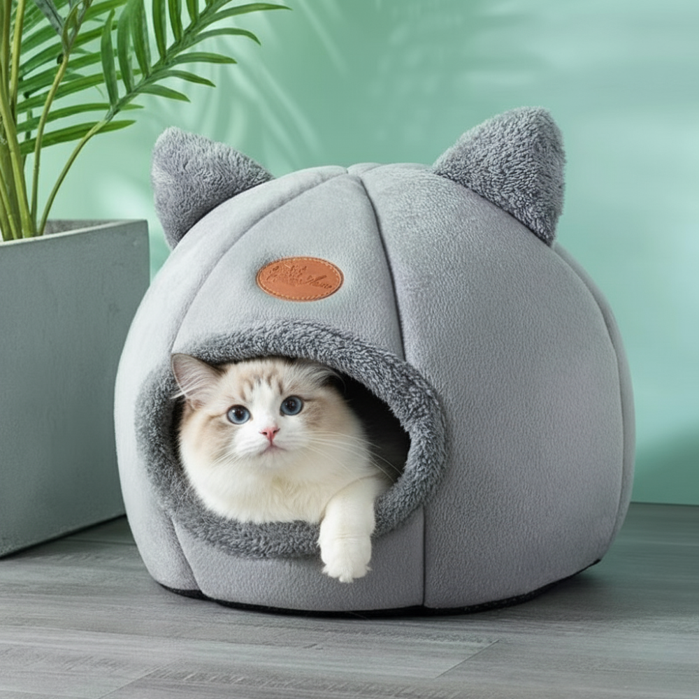 Cathouse – Unruhiger Schlaf macht deine Fellnase auf Dauer krank