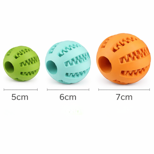 FLEXBALL – Jeder Wurf stärkt Muskeln, Zähne und Geist!